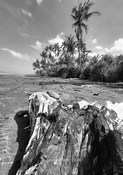 Pasut Beach II