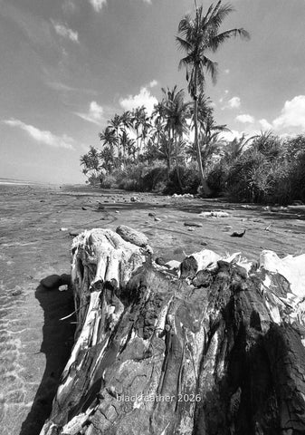 Pasut Beach II