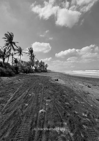 Pasut Beach III