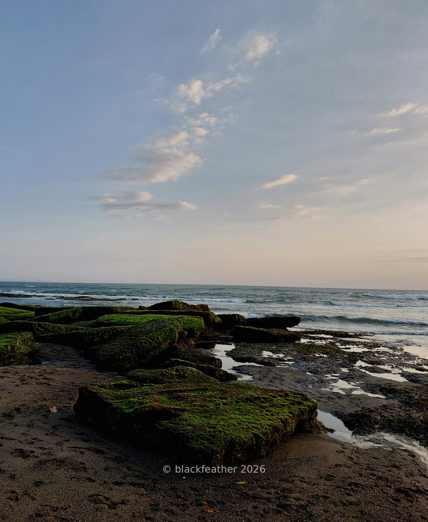 Munggu Beach V