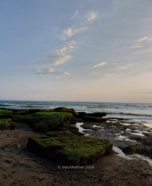 Munggu Beach V