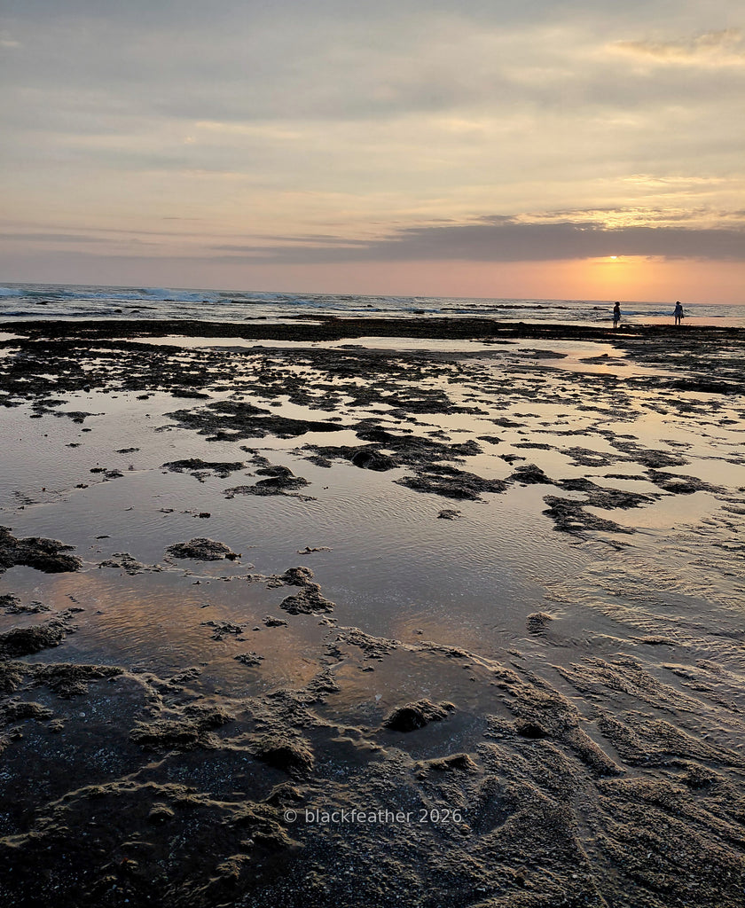 Munggu Beach IX