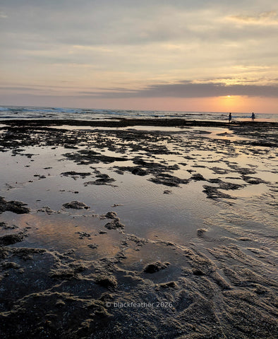 Munggu Beach IX