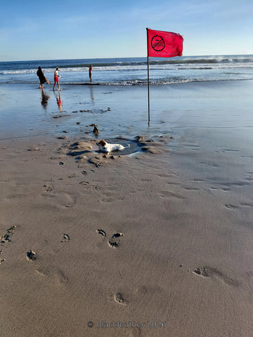 Munggu Beach VIII