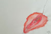 Mo Scribbles Around No. (15)