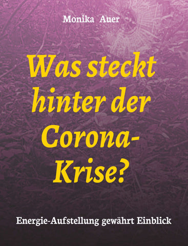 Was-steckt-hinter-der-Corona-Krise